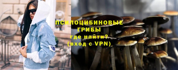 соль ск Арсеньев