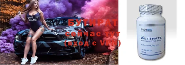 индика Аркадак