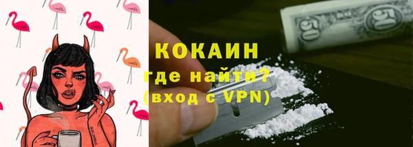 индика Аркадак