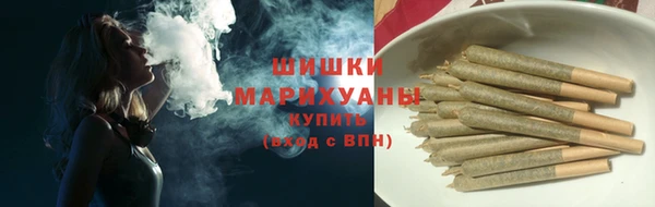 соль ск Арсеньев
