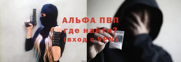 индика Аркадак