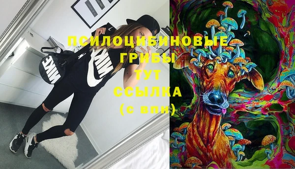 индика Аркадак