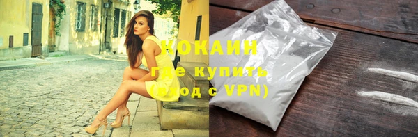 индика Аркадак
