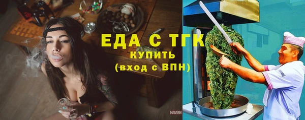 индика Аркадак