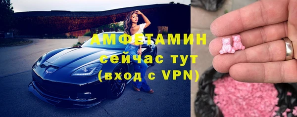 индика Аркадак