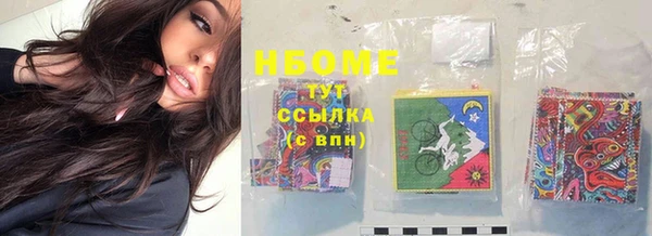 индика Аркадак