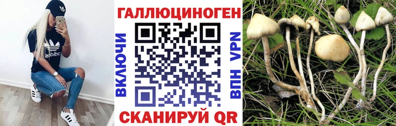 Псилоцибиновые грибы прущие грибы  как найти закладки  Баксан 